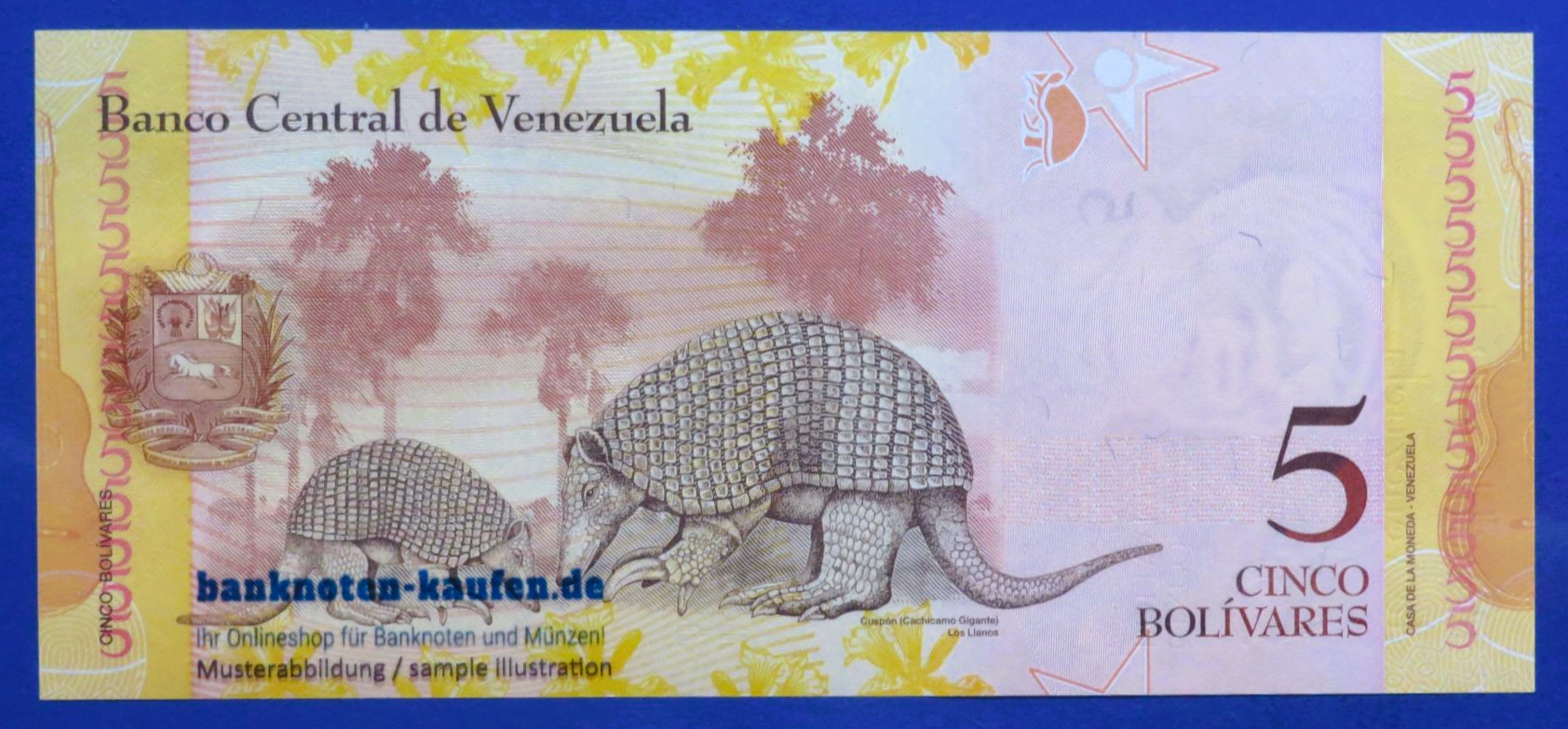 Venezuela, 5 Bolivares fuerte, 2014, uncirculated (UNC), P-89