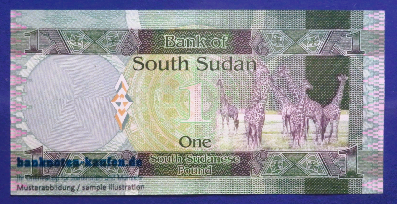 South Sudan, 1 Pound, 2011, about uncirculated (AU), P-5