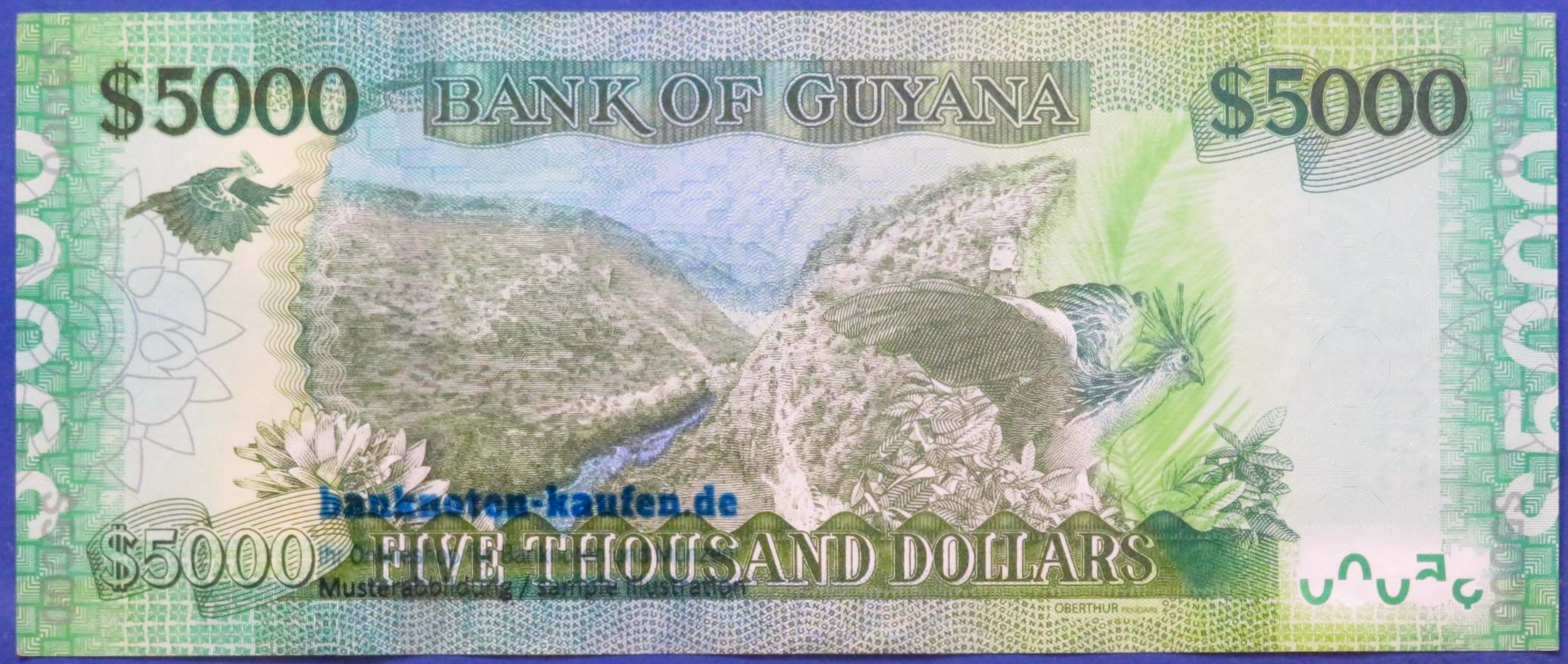 Guyana, 5.000 Dollars, 2023ND, vorzüglich (XF)