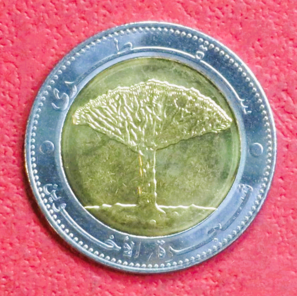 Yemen Arab Republic, 20 Rials, 2004, uncirculated (UNC)