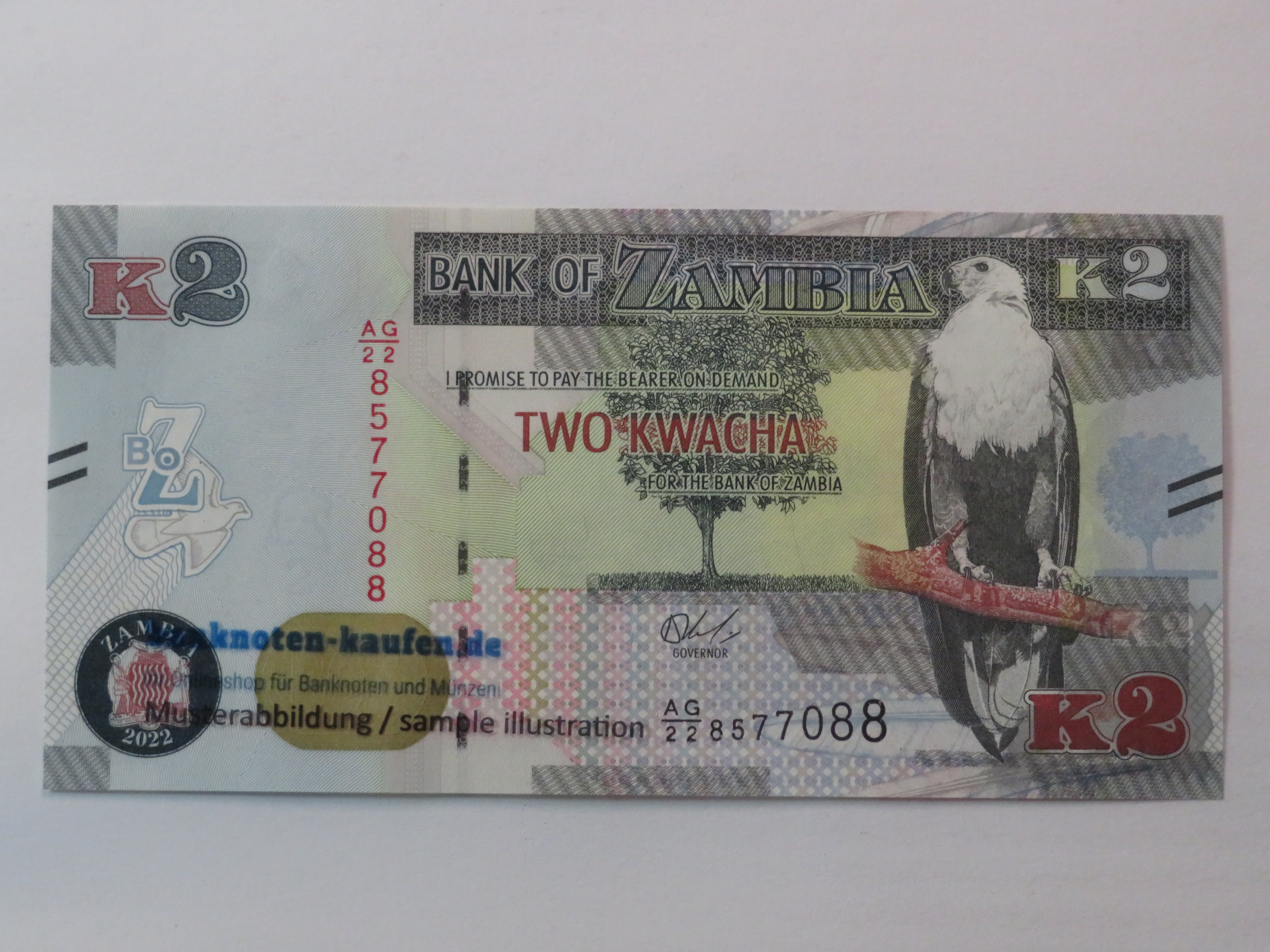 Sierra Leone - 1 Leone - UNC