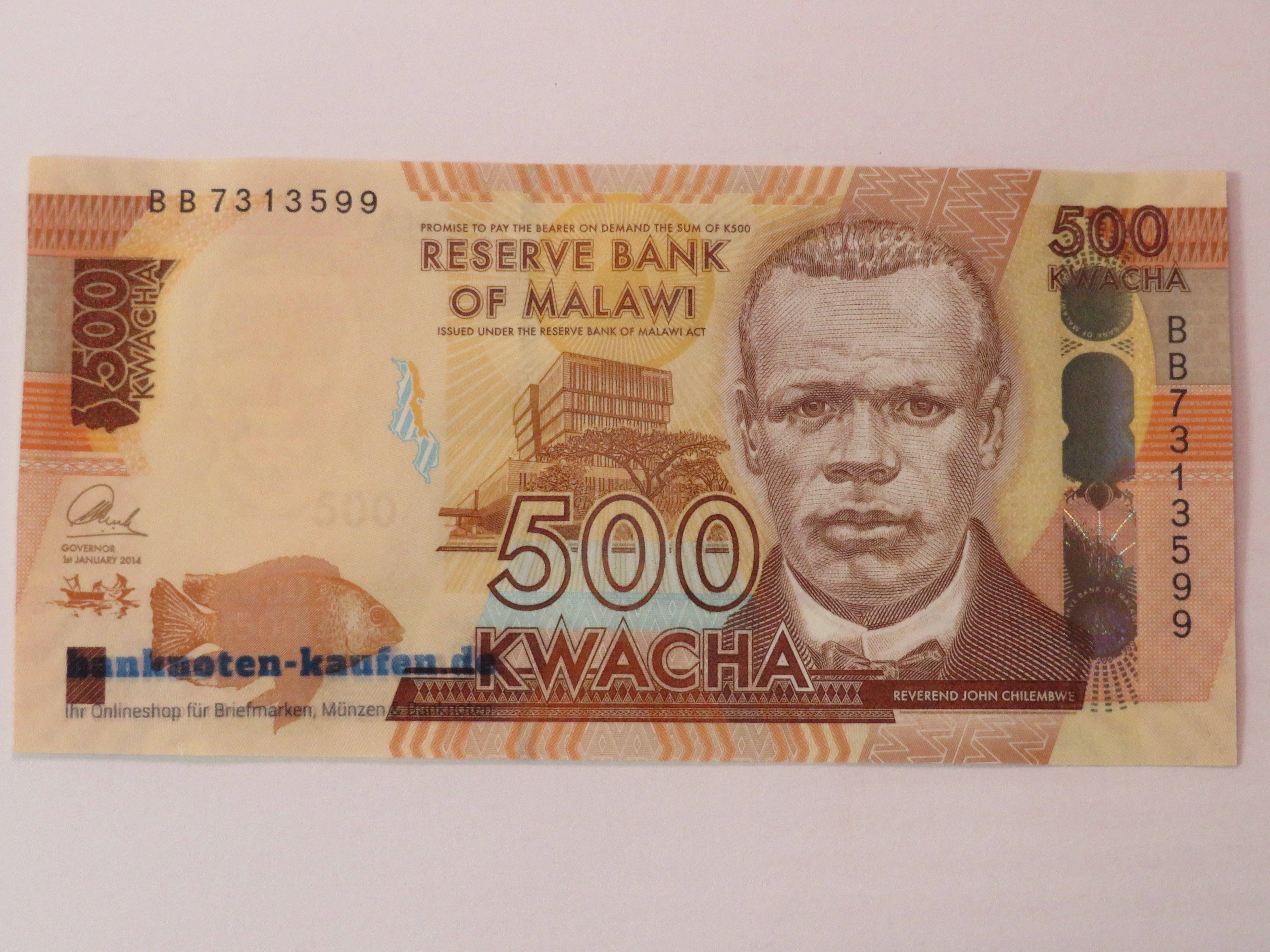 Egypt - 5 Pounds - UNC
