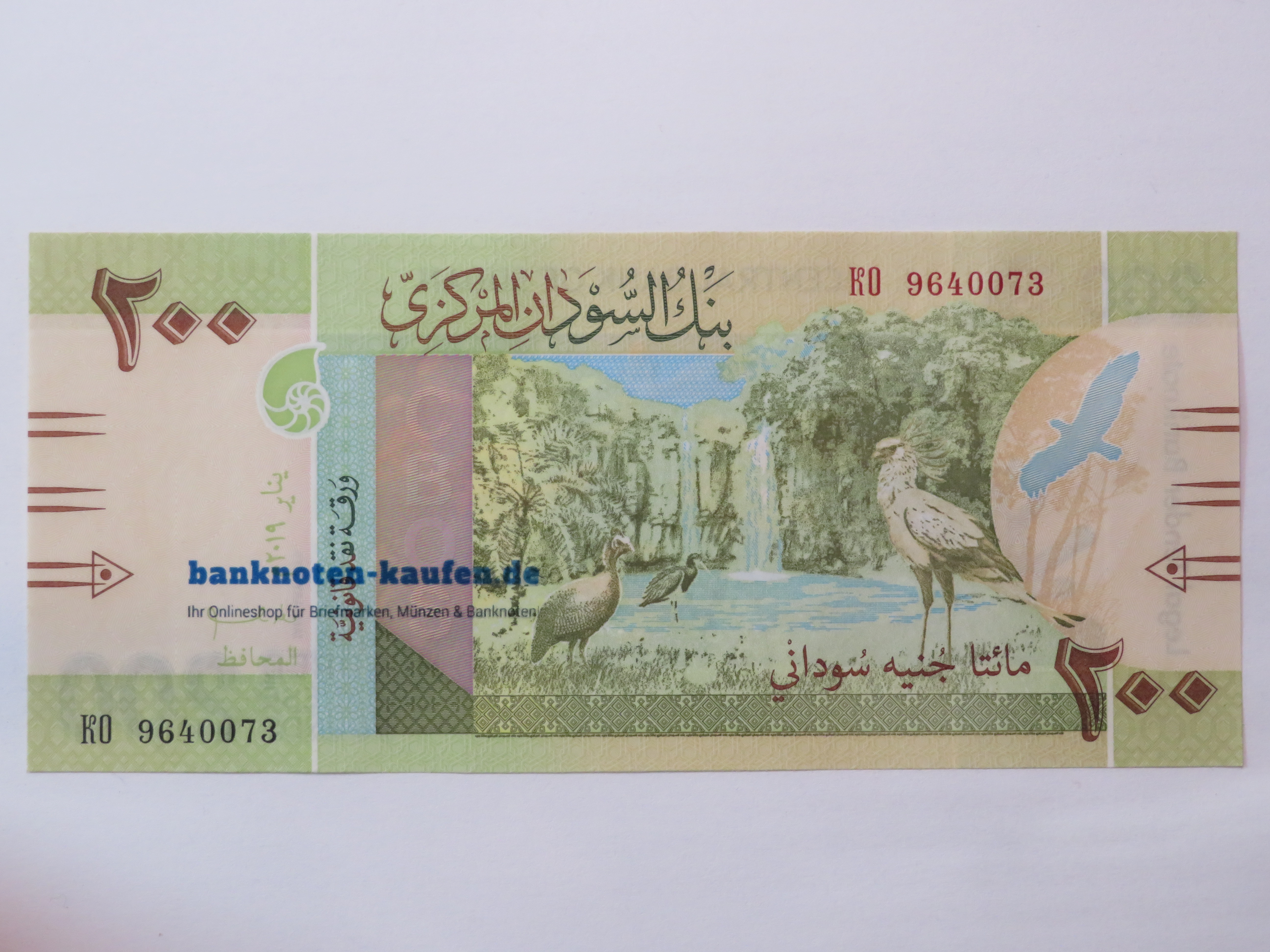 Egypt - 5 Pounds - UNC