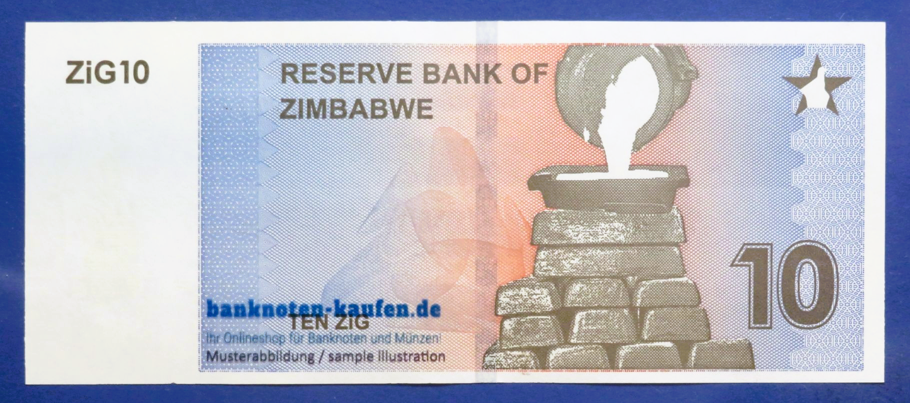 Zimbabwe, 10 ZiG, 2024, uncirculated (UNC), P-110