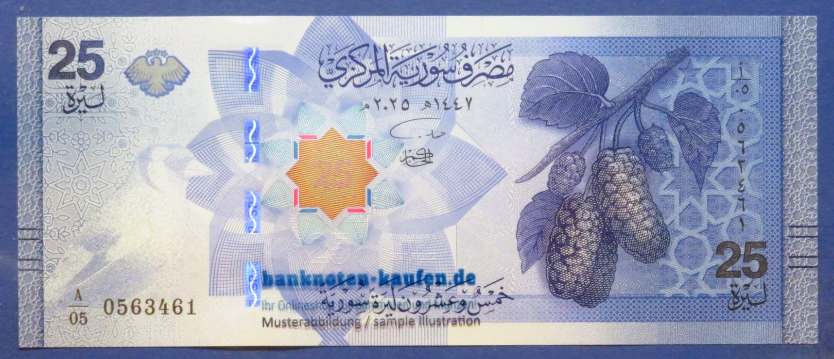 Arabia, 25 Pounds, 2025, uncirculated (UNC), P-120