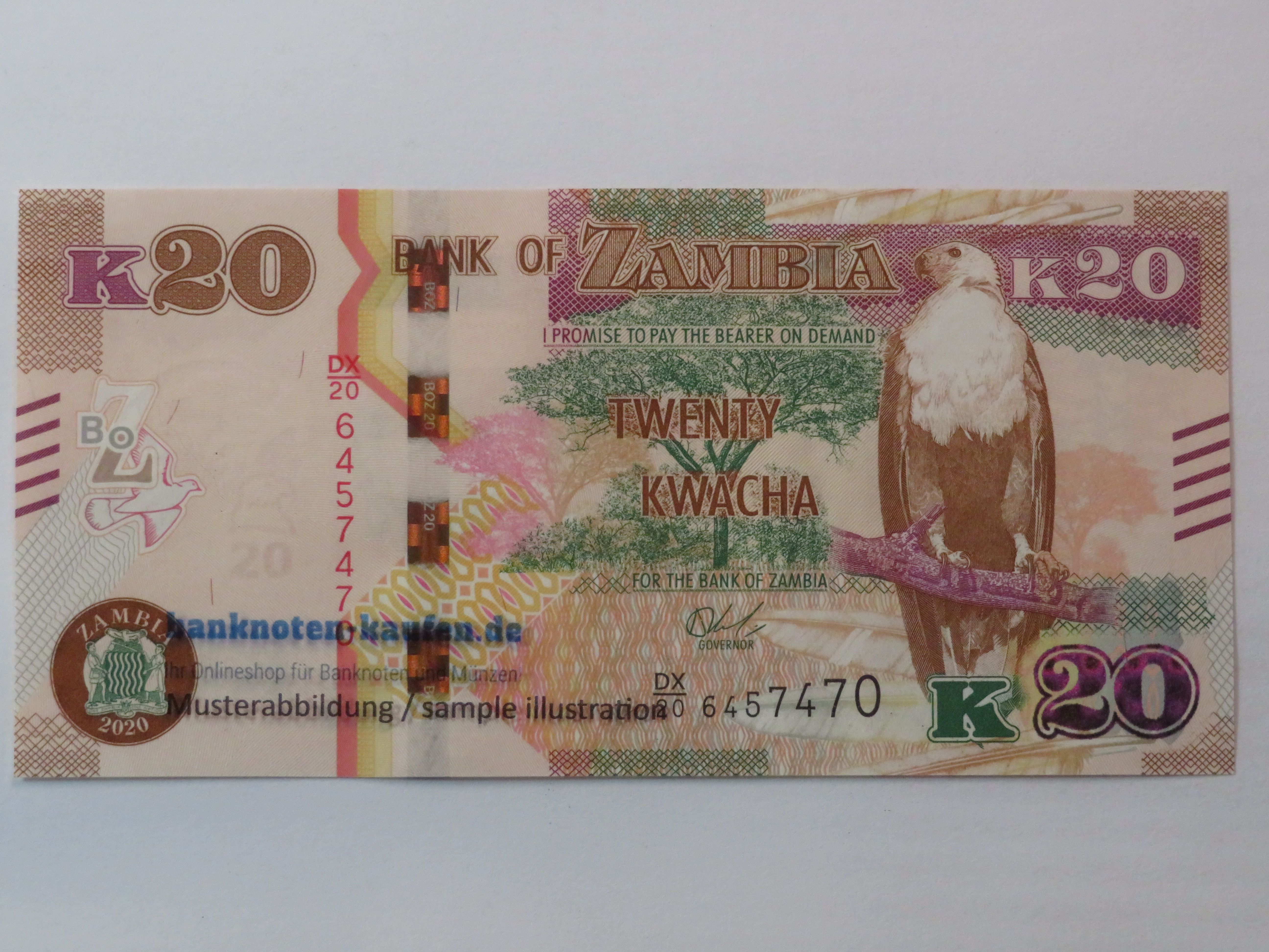 Sierra Leone - 1 Leone - UNC