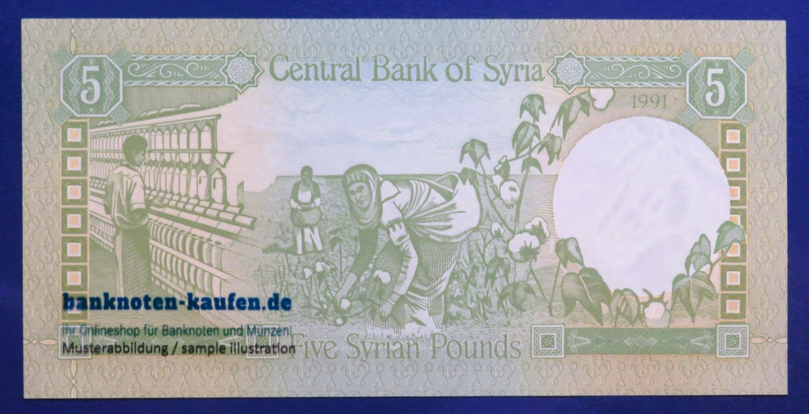 Arabia, 5 Pounds, 1991, uncirculated (UNC), P-100e