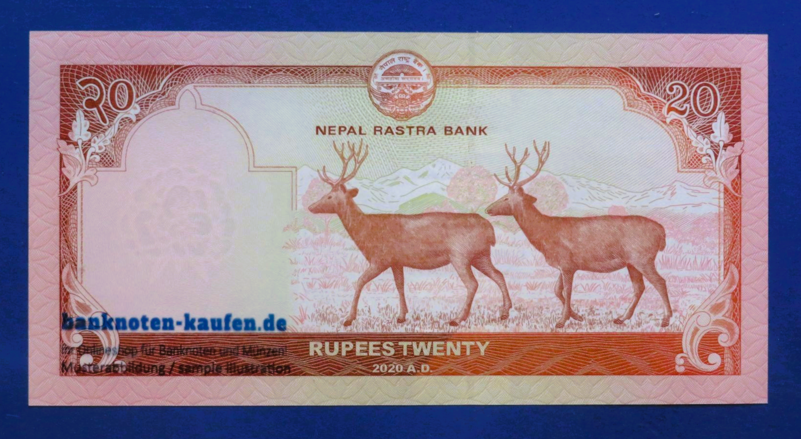 Nepal, 20 Rupien, 2020, kassenfrisch (UNC), P-78b