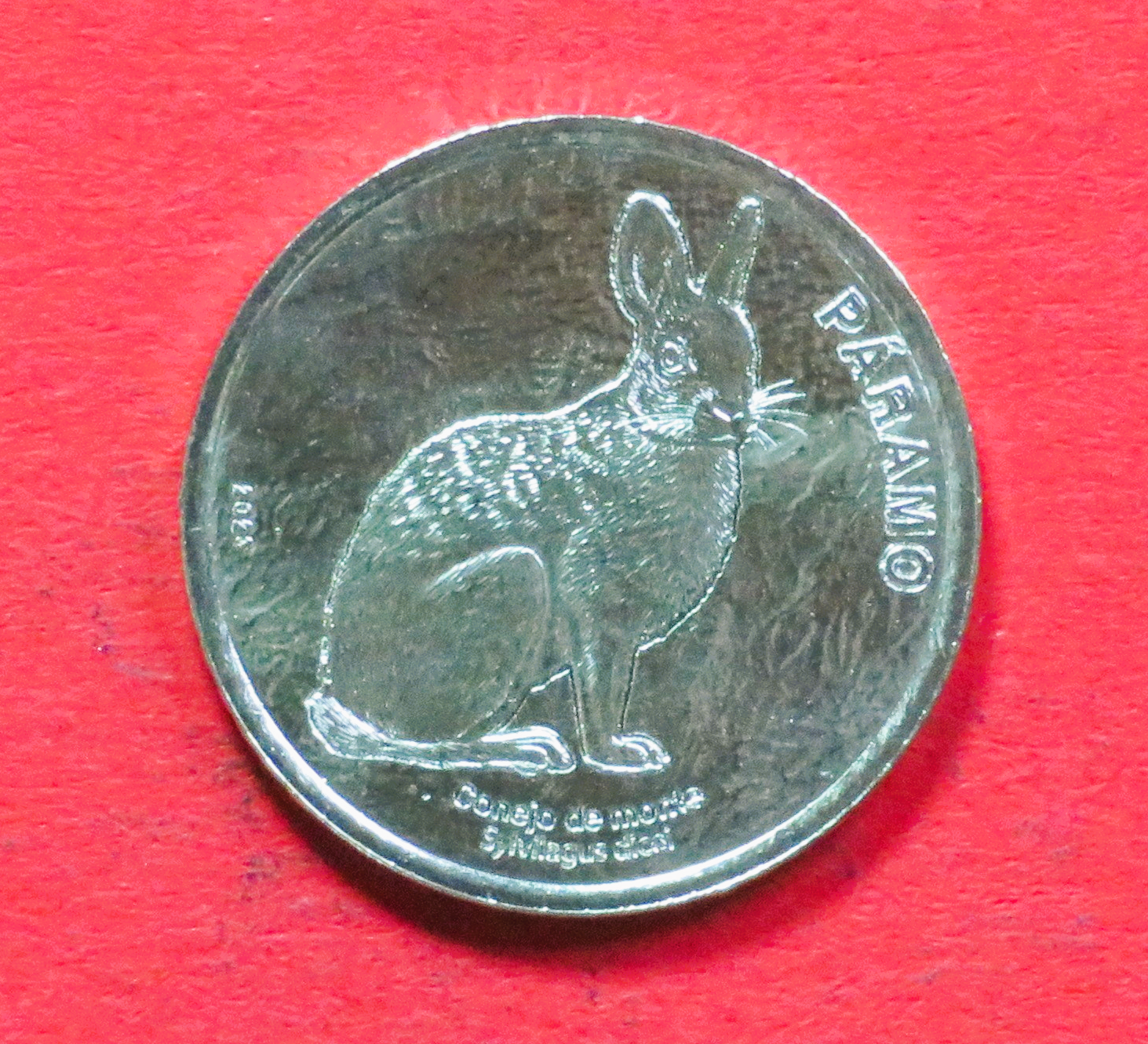 Costa Rica, 50 Colones, 2023, unzirkuliert (unc) "Hase"