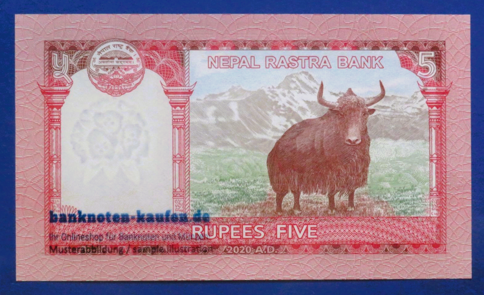 Nepal, set of 5 banknotes, 5/10/20/50/100 Rupees, 2019/2020, about uncirculated (AU), P-76-80