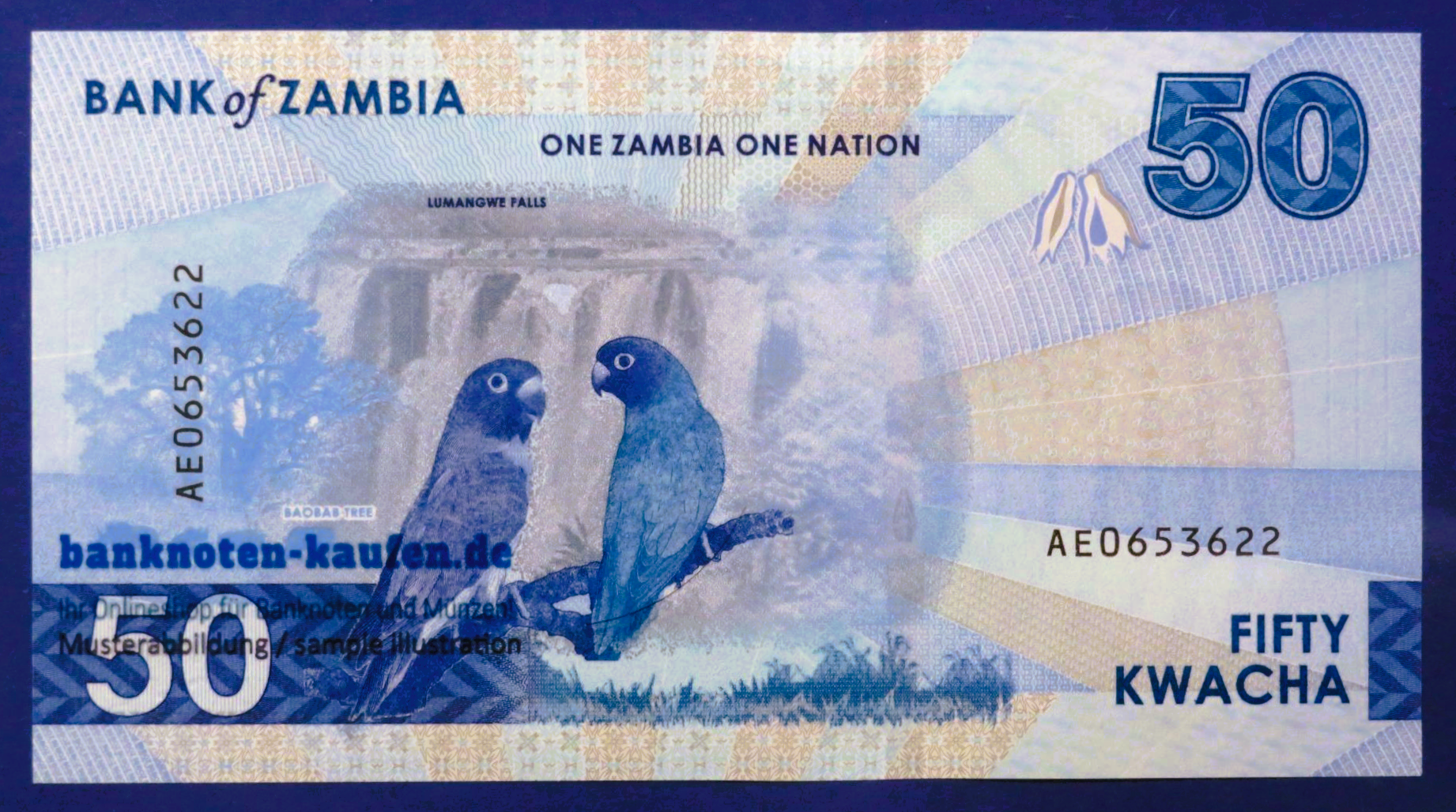 Zambia, 50 Kwacha, 2024, uncirculated (UNC), P-64