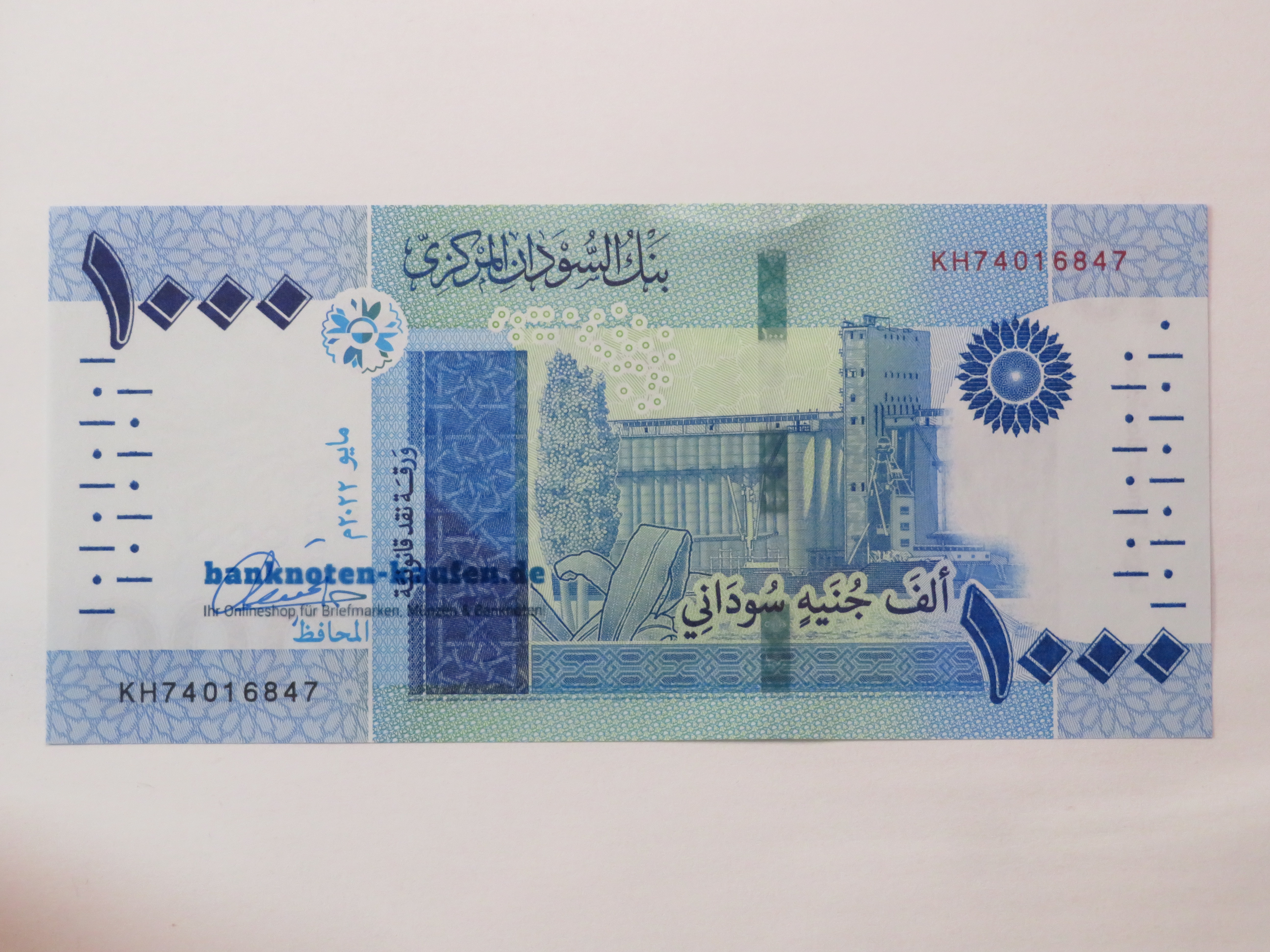 Egypt - 5 Pounds - UNC