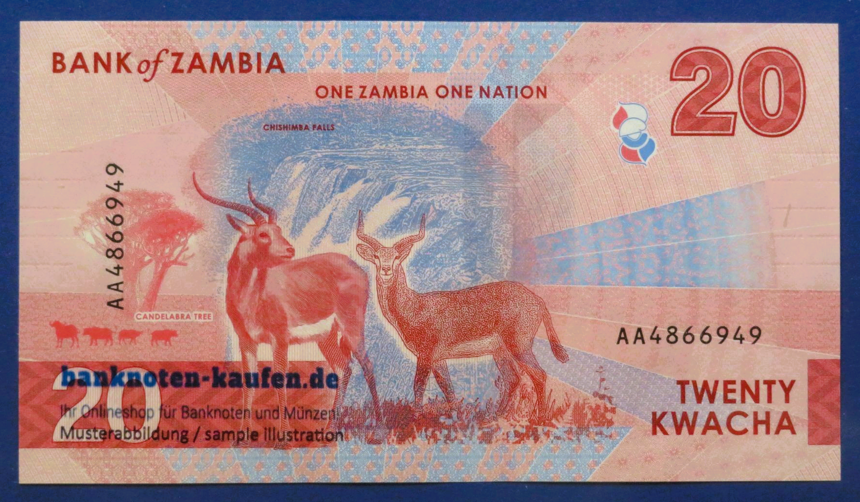 Sambia, 20 Kwacha, 2024, kassenfrisch (UNC), P-63a