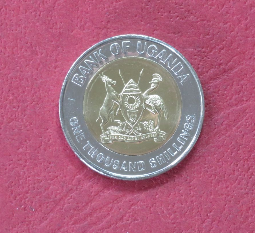 Egypt - 5 Pounds - UNC