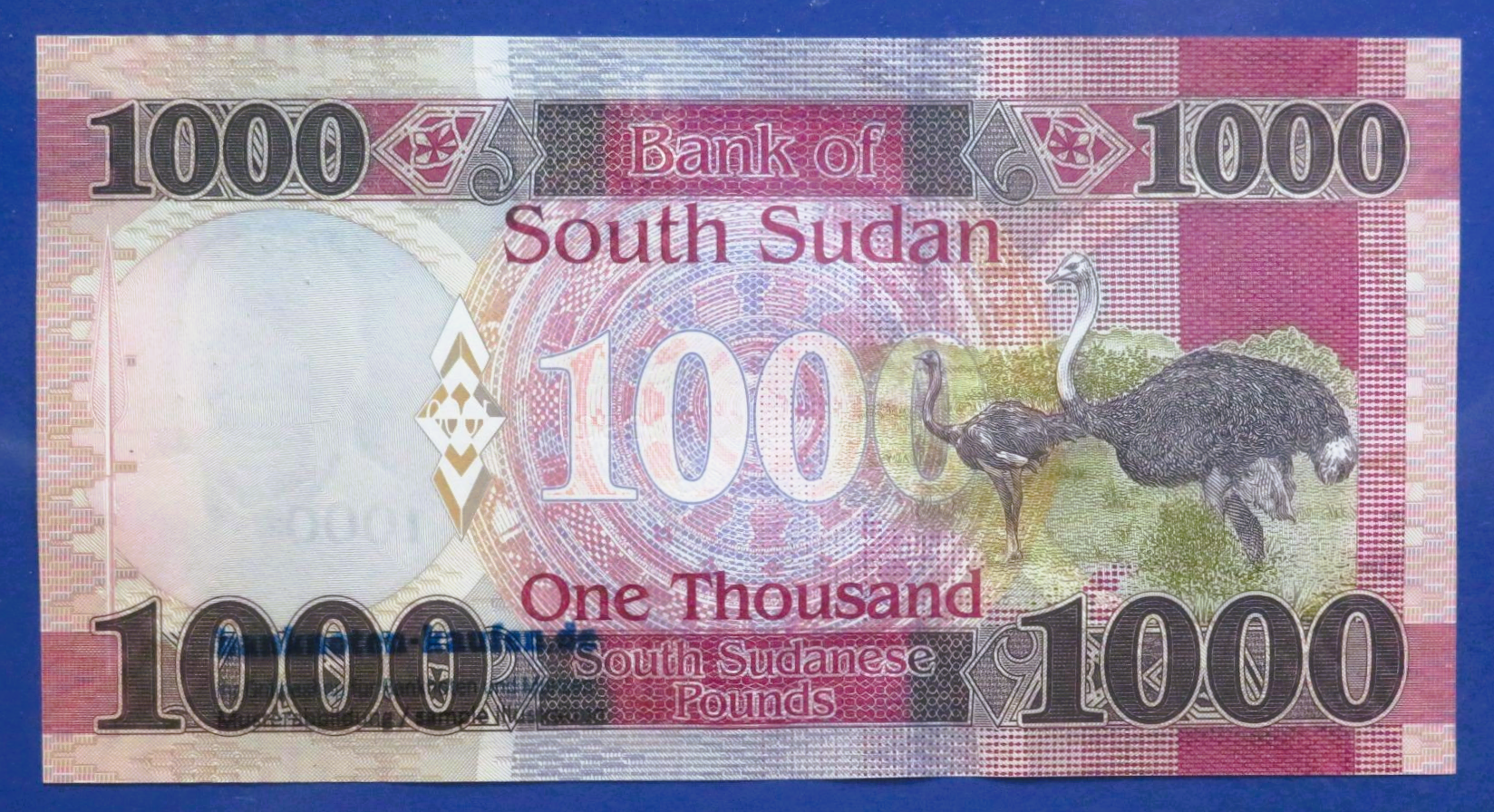 South Sudan - 1,000 Pounds, 2021, uncirculated (UNC), P-17b