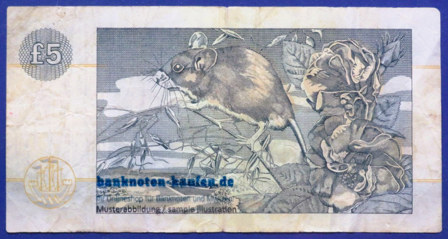 Scotland, 5 Pounds, 2002, circulated (USED / VF-), P-218d